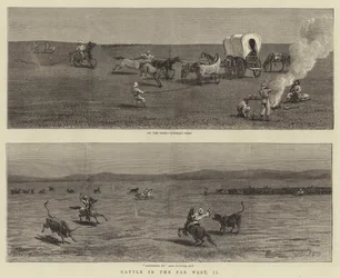 Gado no Far West, II